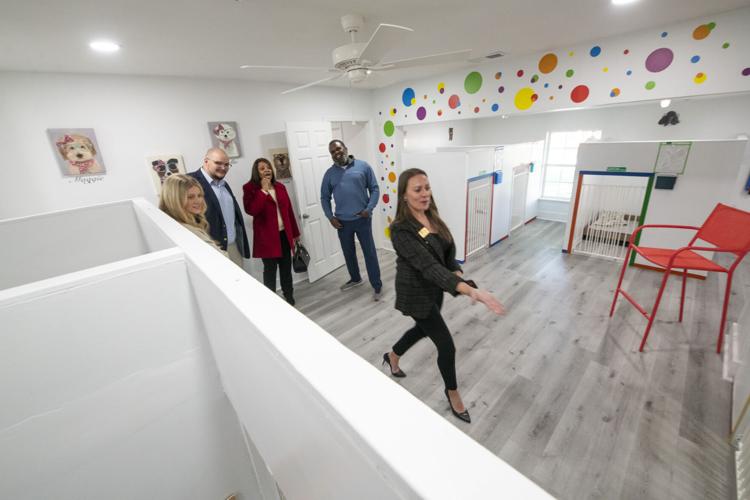 PHOTOS: Dogs now learning at Fur Baby Univeristy