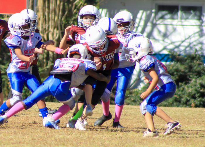 PHOTOS: Camp Hill Bears Homecoming Game