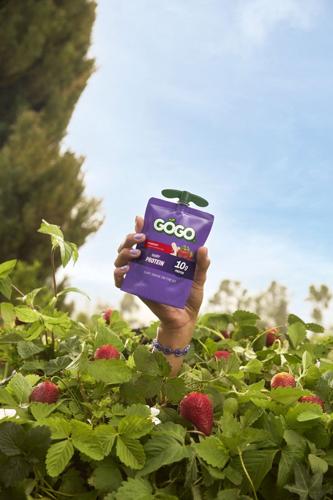 GOGO® Dairy Protein