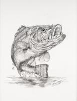 Lake Martin Living Art & Photo Contest