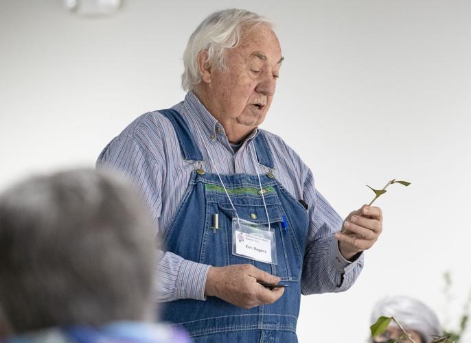 PHOTOS: Camellia grafting workshop