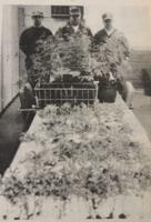 Today in Alexander City history