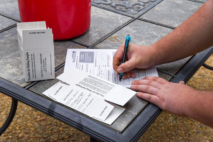 Best way to spend $10 in your garden