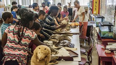 Dauphin Island Sea Lab gives Jim Pearson students a snapshot of Alabama Gulf Coast life