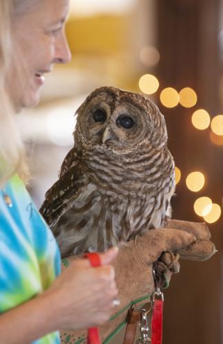PHOTOS: Eclectic's Raptor Ridge brings raptors to library program