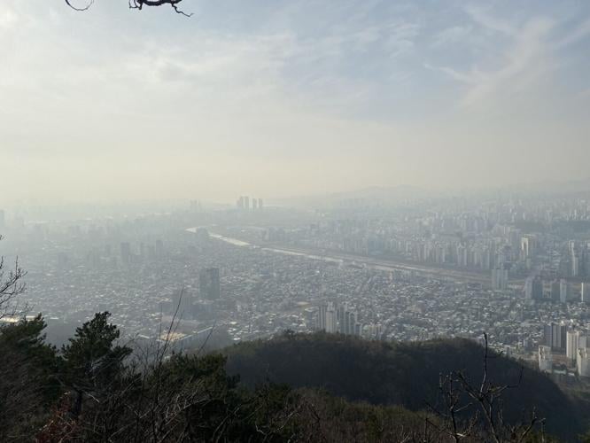 Arthritis flare-ups may be triggered by smog, according to new research