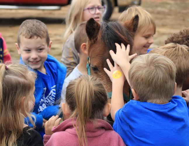 RES kindergartens visit local veterinarian practice