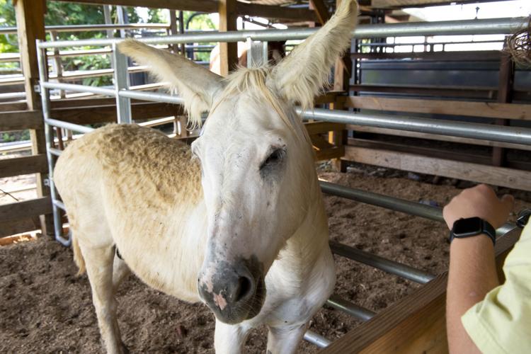 PHOTOS: Bar J Farms is an extended family