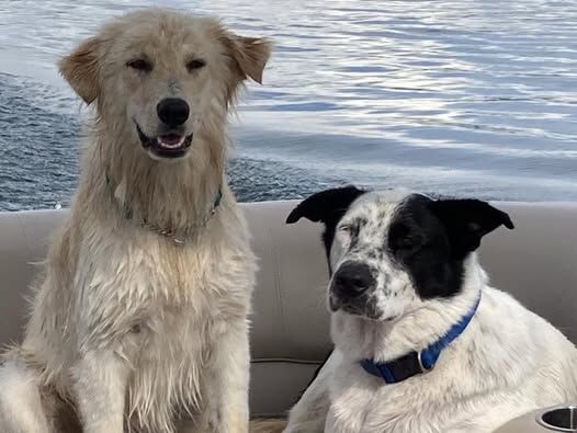 Benny and Chief.jpg