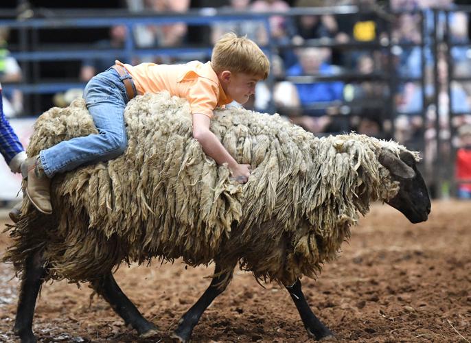 Lake Martin Rodeo