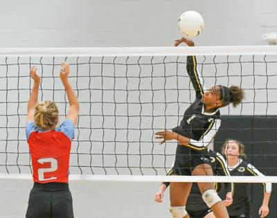 100125 dadeville volleyball.jpg