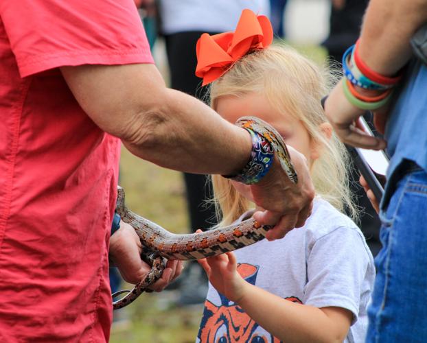 PHOTOS: 2023 Alabama Cotton Festival