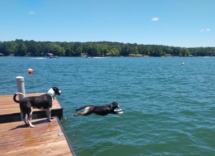 August 2021 Lake Scenes