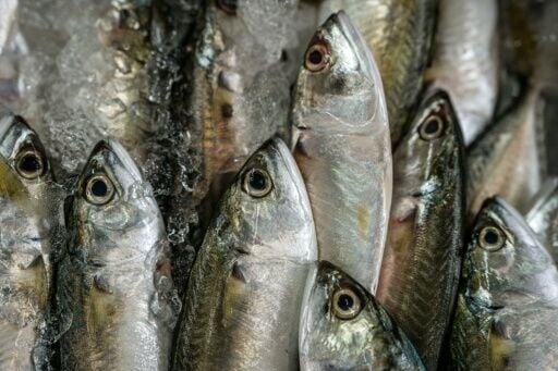Yellowstripe scad fish are displayed for sale in Sriracha, Thailand. Fishers in neighbouring Cambodia and Vietnam have also struggled to take to sea due to rising fuel costs