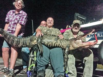 Wheelchair-bound hunter bags gator at Eufaula