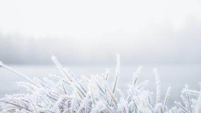 Coldest Marches in Alabama since 1895