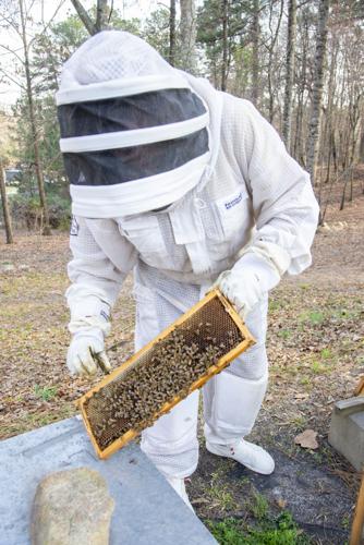 20260304_Poosa Brand Bee_edit_13.jpg