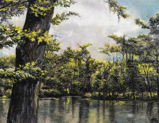 Art & Photography Contest Winners