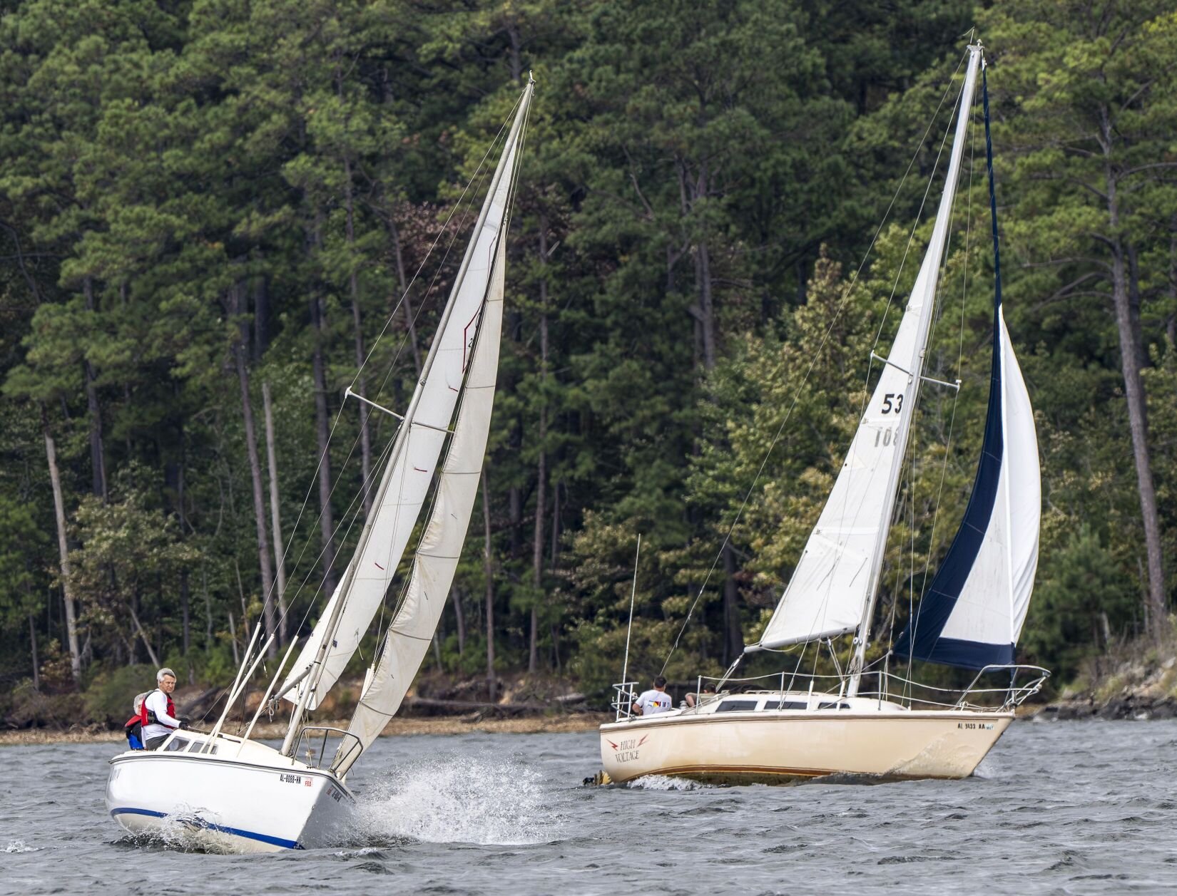 untitled shoot_7017_20251005.tif