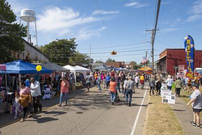 Cotton Corner: Cotton grows into a festival of 12,000