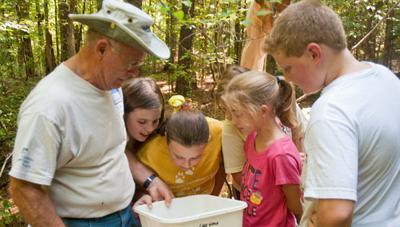 Radney students study streams