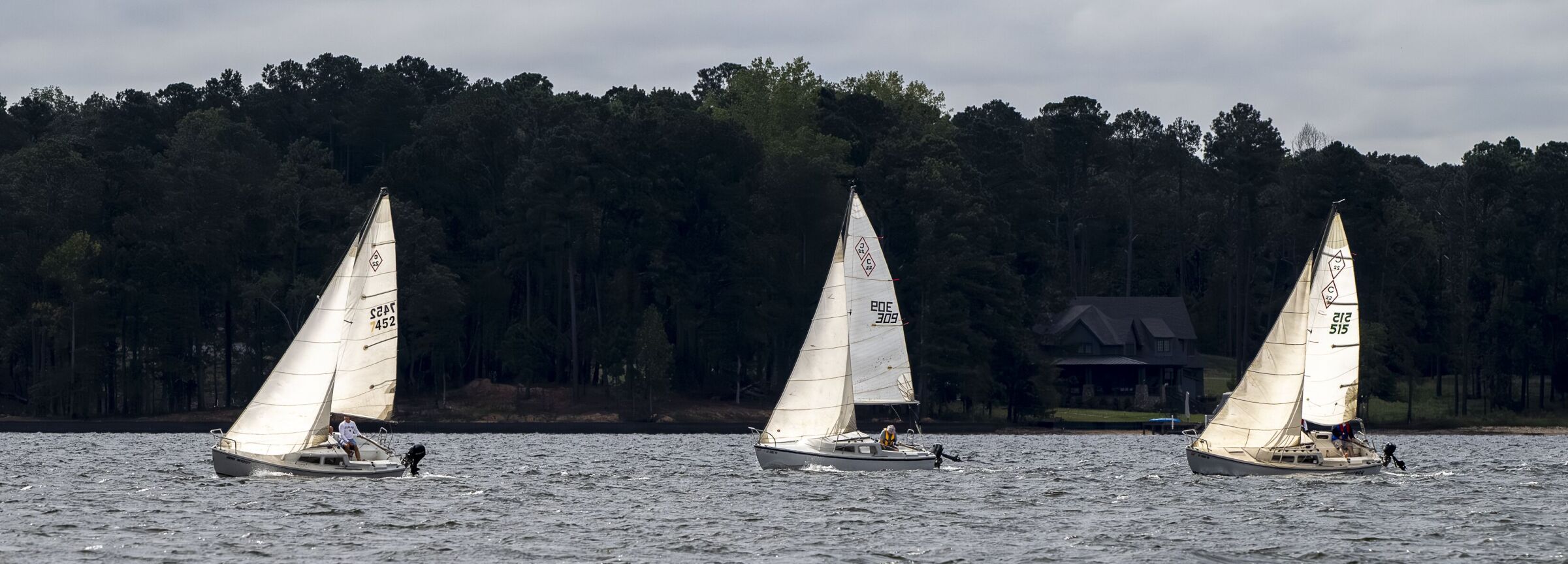 untitled shoot_7208_20251005.tif