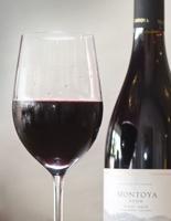 Pairing Wine with Food
