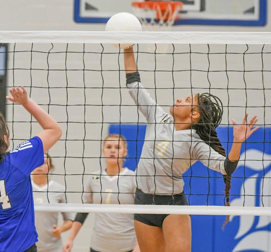 120325-volleyball all-stars (Aziah Lockhart).jpg