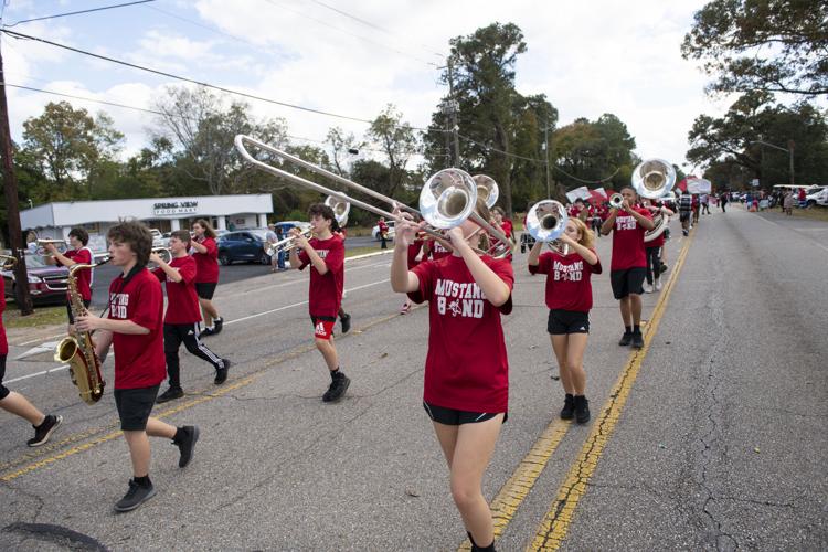 PHOTOS: Stanhope Elmore High School homecoming parade