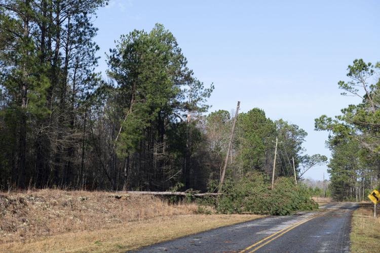 PHOTOS: Tornado damage and cleanup in Tallapoosa County