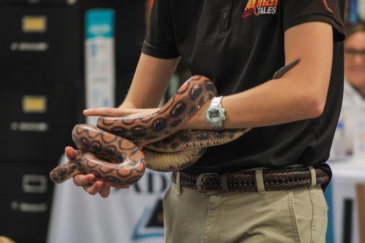 PHOTOS: Animal Tales comes to Dadeville's library
