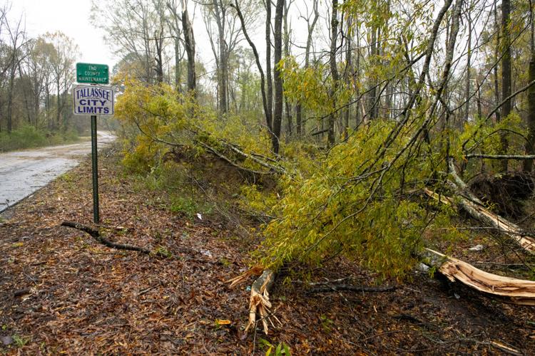PHOTOS: Storm damage across Elmore County