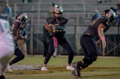 Lower outside expectations not phasing Wetumpka