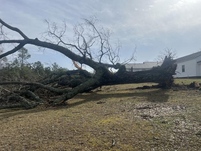 PHOTOS: Tornado damage and cleanup in Tallapoosa County
