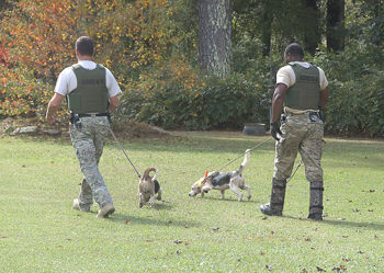 Manhunt continues for alleged Eclectic robber; reward offered