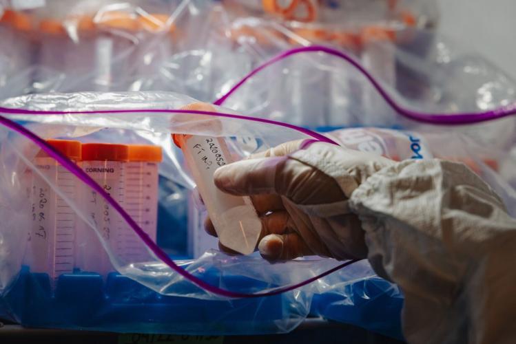 Particles bubbling up from melting Arctic sea ice play key role in cloud formation