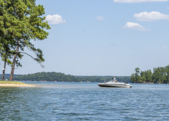 What's Reshaping Lake Martin