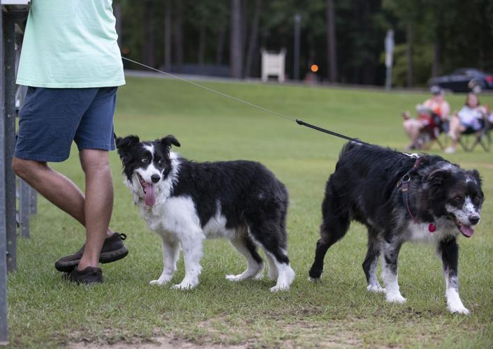 Songwriters on the Lake