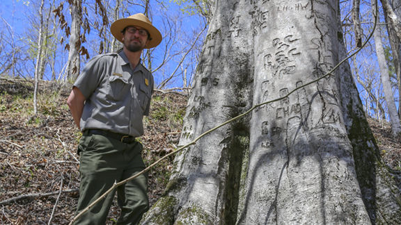 Horseshoe Bend tree witnessed historical battle