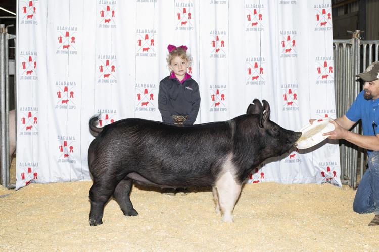 Junior Swine Expo