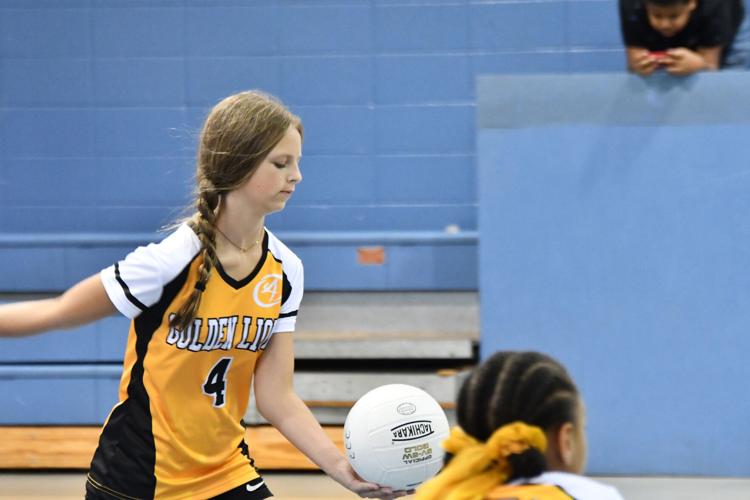 PHOTOS: Alex City Parks and Rec volleyball second night of games