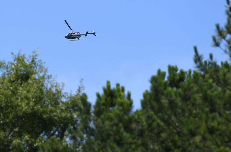 CEW_3146.jpg