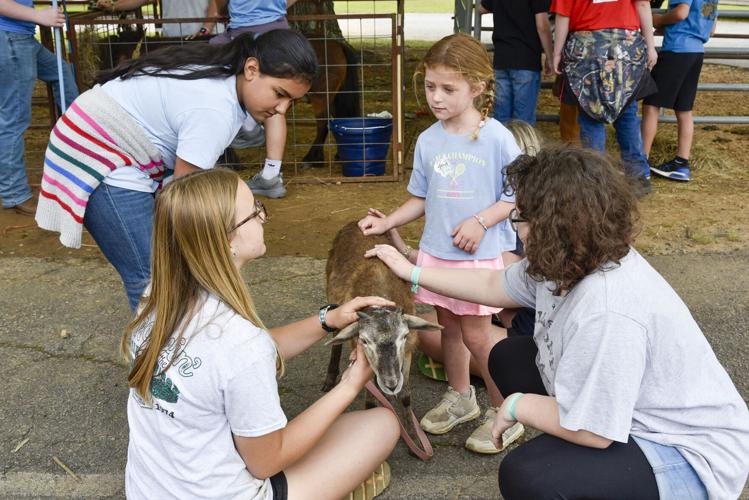 051326HBSFarmDay8.jpg