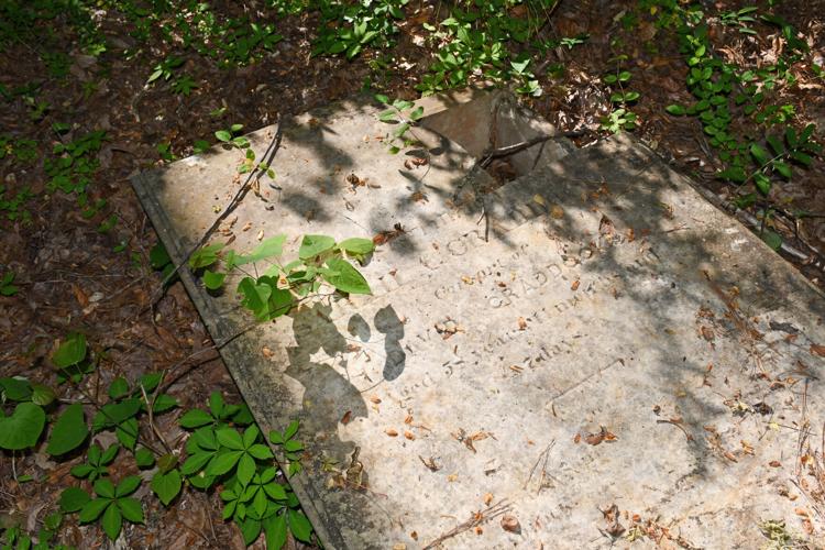 PHOTOS: Dozens of old Youngsville graves lie in the woods of the Russell Mills estate