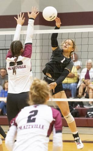 PHOTOS: Elmore County volleyball hosts block party