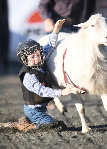 Wetumpka FFA Alumni Rodeo