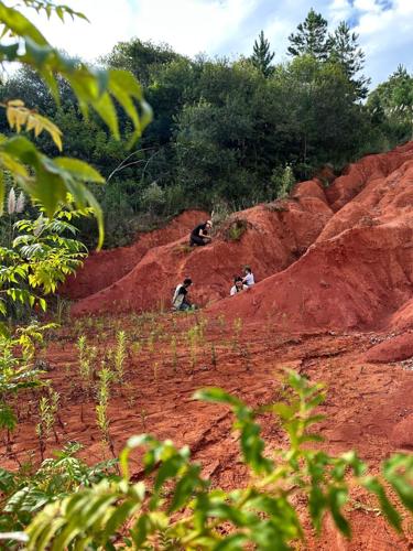 Parrot-beaked beast that lived with dinosaurs in Brazil may have Scottish relatives