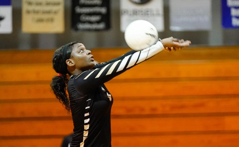 Versatility, middle blockers highlight All-Outlook volleyball team