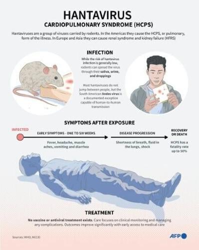 Hantavirus