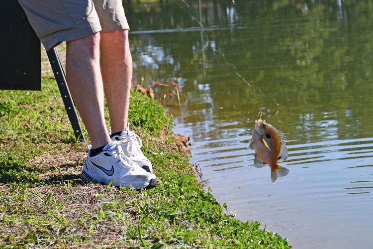 PHOTOS: Bill Nichols residents cast a line at Hardy Farms